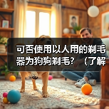 狗狗剃毛能否使用人用剃毛器?安全考量与指南 狗狗剃毛能否使用人用剃毛器?安全考量与指南