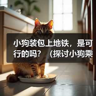 小狗装包坐地铁可行吗？安全与规定的平衡