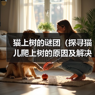 猫咪上树原因及科学救助指南 猫咪上树原因及科学救助指南