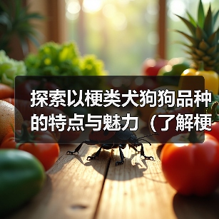梗类犬品种大全:勇敢聪明的忠诚伙伴 梗类犬品种大全:勇敢聪明的忠诚伙伴