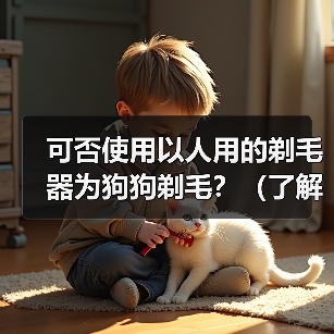 狗狗剃毛能否使用人用剃毛器?安全考量与指南 狗狗剃毛能否使用人用剃毛器?安全考量与指南