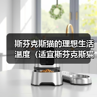 斯芬克斯猫温度管理与健康养护指南