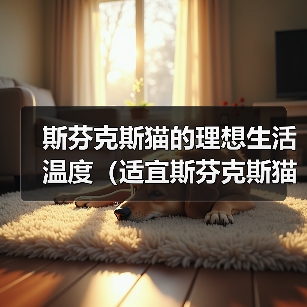 斯芬克斯猫温度管理与健康养护指南