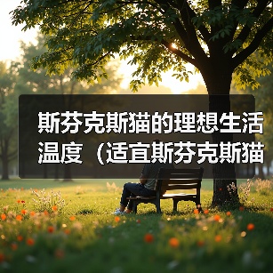 斯芬克斯猫温度管理与健康养护指南