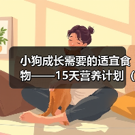 小狗成长需要的适宜食物——15天营养计划(从幼犬到幼狗,关键是科学饲养) 小狗成长需要的适宜食物——15天营养计划(从幼犬到幼狗,关键是科学饲养)