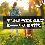 小狗成长需要的适宜食物——15天营养计划(从幼犬到幼狗,关键是科学饲养) 小狗成长需要的适宜食物——15天营养计划(从幼犬到幼狗,关键是科学饲养)