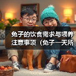 兔子的饮食需求与喂养注意事项（兔子一天所需粮食及喂养指南）