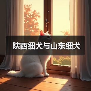 陕西细犬与山东细犬 陕西细犬与山东细犬