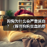 狗狗为什么会严重贫血?(探寻狗狗贫血的原因及应对之道) 狗狗为什么会严重贫血?(探寻狗狗贫血的原因及应对之道)