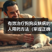 有效治疗狗狗皮肤病的人用药方法(掌握正确的治疗方案,让狗狗告别皮肤病困扰) 有效治疗狗狗皮肤病的人用药方法(掌握正确的治疗方案,让狗狗告别皮肤病困扰)
