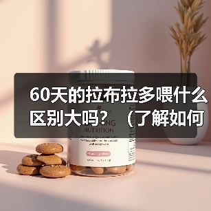 60天的拉布拉多喂什么区别大吗？（了解如何饲养一只健康的60天拉布拉多）