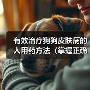 有效治疗狗狗皮肤病的人用药方法(掌握正确的治疗方案,让狗狗告别皮肤病困扰) 有效治疗狗狗皮肤病的人用药方法(掌握正确的治疗方案,让狗狗告别皮肤病困扰)