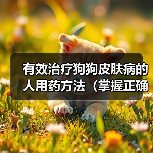 有效治疗狗狗皮肤病的人用药方法(掌握正确的治疗方案,让狗狗告别皮肤病困扰) 有效治疗狗狗皮肤病的人用药方法(掌握正确的治疗方案,让狗狗告别皮肤病困扰)