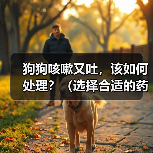 狗狗咳嗽又吐，该如何处理？（选择合适的药物进行治疗，帮助宠物恢复健康）