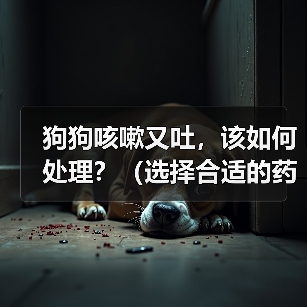 狗狗咳嗽又吐，该如何处理？（选择合适的药物进行治疗，帮助宠物恢复健康）