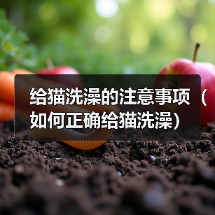 给猫洗澡的注意事项(如何正确给猫洗澡) 给猫洗澡的注意事项(如何正确给猫洗澡)