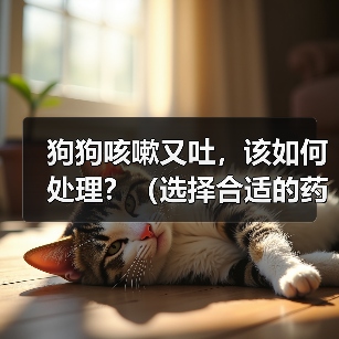 狗狗咳嗽又吐，该如何处理？（选择合适的药物进行治疗，帮助宠物恢复健康）