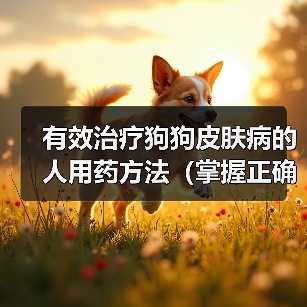 有效治疗狗狗皮肤病的人用药方法(掌握正确的治疗方案,让狗狗告别皮肤病困扰) 有效治疗狗狗皮肤病的人用药方法(掌握正确的治疗方案,让狗狗告别皮肤病困扰)