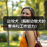 边牧犬(揭秘边牧犬的智商和工作能力) 边牧犬(揭秘边牧犬的智商和工作能力)