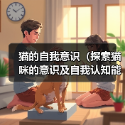 猫的自我意识(探索猫咪的意识及自我认知能力) 猫的自我意识(探索猫咪的意识及自我认知能力)