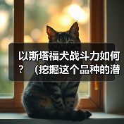 以斯塔福犬战斗力如何?(挖掘这个品种的潜力,探究其战斗能力的来源) 以斯塔福犬战斗力如何?(挖掘这个品种的潜力,探究其战斗能力的来源)