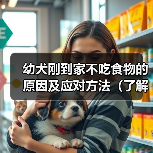 幼犬到家拒食怎么办?科学解决方法 幼犬到家拒食怎么办?科学解决方法