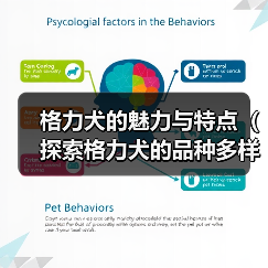 格力犬品种多样性解析:各具特色的魅力与特点 格力犬品种多样性解析:各具特色的魅力与特点