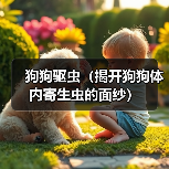 狗狗驱虫常见寄生虫识别与预防指南 狗狗驱虫常见寄生虫识别与预防指南