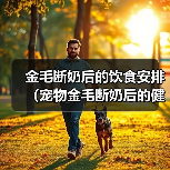 金毛犬断奶后饮食指南:科学喂养技巧与营养建议 金毛犬断奶后饮食指南:科学喂养技巧与营养建议