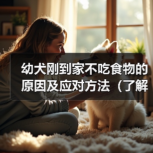 幼犬到家拒食怎么办?科学解决方法 幼犬到家拒食怎么办?科学解决方法