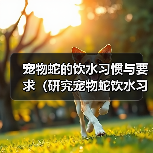 宠物蛇饮水要点及健康护理指南 宠物蛇饮水要点及健康护理指南