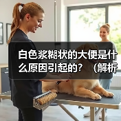 白色浆糊状大便的常见原因及处理方法 白色浆糊状大便的常见原因及处理方法