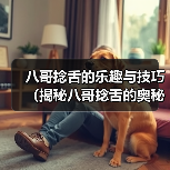 八哥捻舌表演艺术技巧口才培养趣味解析 八哥捻舌表演艺术技巧口才培养趣味解析
