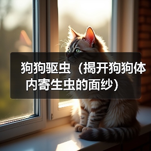 狗狗驱虫常见寄生虫识别与预防指南 狗狗驱虫常见寄生虫识别与预防指南