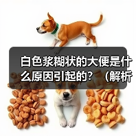 白色浆糊状大便的常见原因及处理方法 白色浆糊状大便的常见原因及处理方法