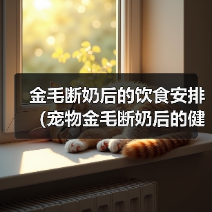 金毛犬断奶后饮食指南:科学喂养技巧与营养建议 金毛犬断奶后饮食指南:科学喂养技巧与营养建议