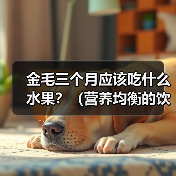 金毛三个月宝宝能吃哪些水果?适合推荐 金毛三个月宝宝能吃哪些水果?适合推荐