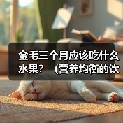 金毛三个月宝宝能吃哪些水果?适合推荐 金毛三个月宝宝能吃哪些水果?适合推荐