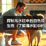 探秘海水缸中的白色须生物(了解海水缸中的不同种类白色须生物的特点及养殖要点) 探秘海水缸中的白色须生物(了解海水缸中的不同种类白色须生物的特点及养殖要点)