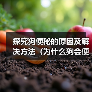 探究狗便秘的原因及解决方法(为什么狗会便秘以及如何帮助它们恢复正常排便) 探究狗便秘的原因及解决方法(为什么狗会便秘以及如何帮助它们恢复正常排便)