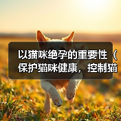 以猫咪绝孕的重要性(保护猫咪健康,控制猫咪数量) 以猫咪绝孕的重要性(保护猫咪健康,控制猫咪数量)