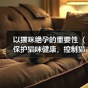 以猫咪绝孕的重要性(保护猫咪健康,控制猫咪数量) 以猫咪绝孕的重要性(保护猫咪健康,控制猫咪数量)