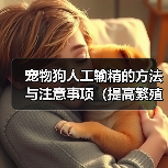 宠物狗人工输精的方法与注意事项(提高繁殖效率的关键技巧与建议) 宠物狗人工输精的方法与注意事项(提高繁殖效率的关键技巧与建议)