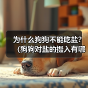 为什么狗狗不能吃盐？（狗狗对盐的摄入有哪些潜在危害）