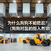 为什么狗狗不能吃盐？（狗狗对盐的摄入有哪些潜在危害）
