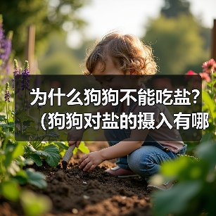 为什么狗狗不能吃盐？（狗狗对盐的摄入有哪些潜在危害）