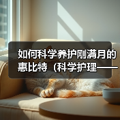 如何科学养护刚满月的惠比特(科学护理——让你的惠比特宠物健康成长) 如何科学养护刚满月的惠比特(科学护理——让你的惠比特宠物健康成长)