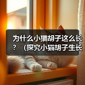为什么小猫胡子这么长?(探究小猫胡子生长的原因及功能) 为什么小猫胡子这么长?(探究小猫胡子生长的原因及功能)