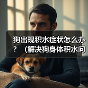 狗狗积水怎么办？这5个方法帮你解决