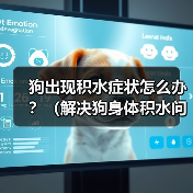 狗狗积水怎么办？这5个方法帮你解决